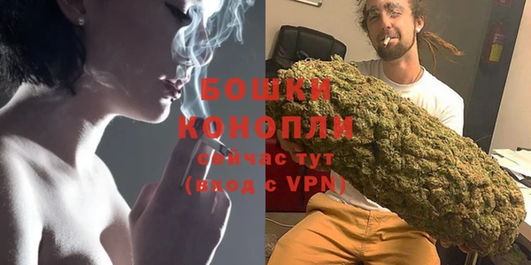 амф Каменка