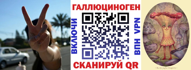 Псилоцибиновые грибы прущие грибы  Купить  Находка 